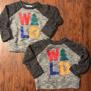 Knitted W🌲LD Sweater